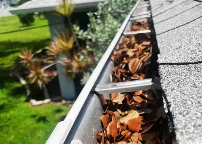 berlin gutter cleaning home page